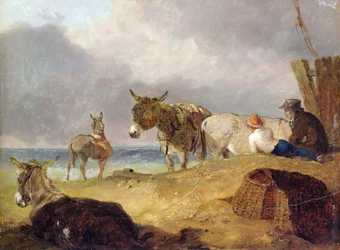 Burros e figuras em uma praia